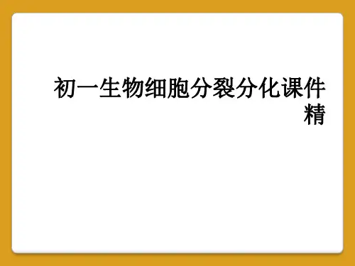 初一生物细胞分裂分化课件精