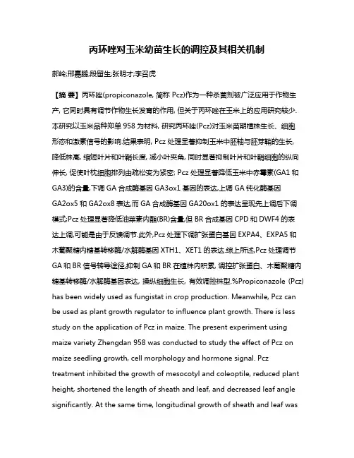 丙环唑对玉米幼苗生长的调控及其相关机制