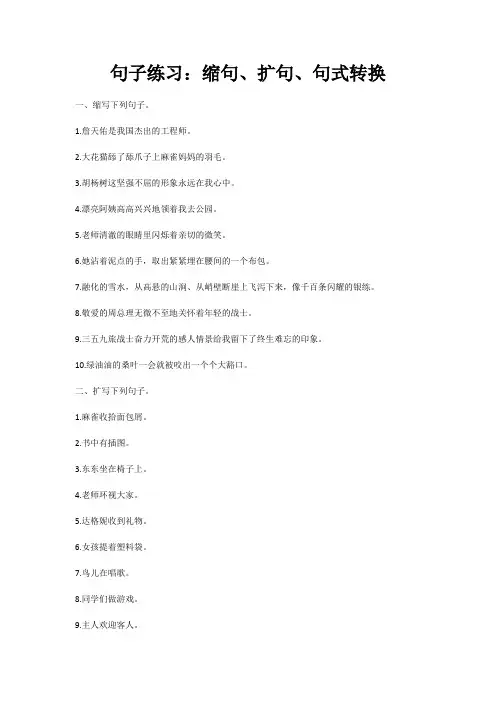 句子练习：缩句、扩句、句式转换