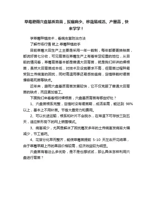 草莓避雨穴盘基质育苗，炭疽病少、移栽易成活、产量高，快来学学！