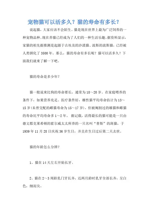宠物猫可以活多久？猫的寿命有多长？