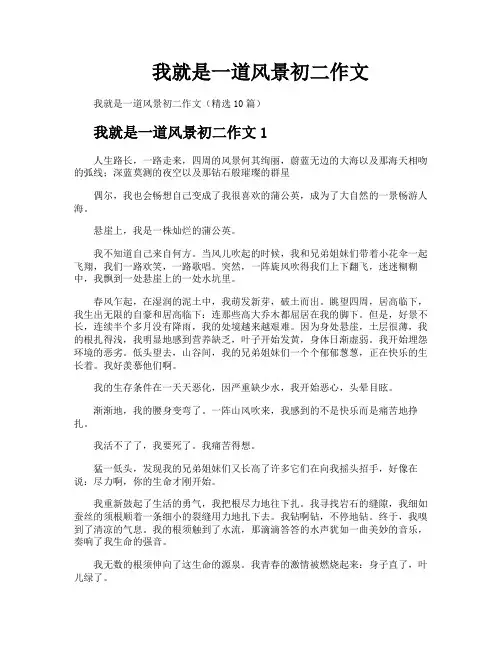 我就是一道风景初二作文