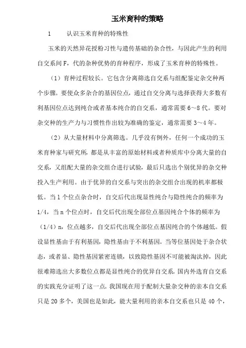 玉米育种的策略