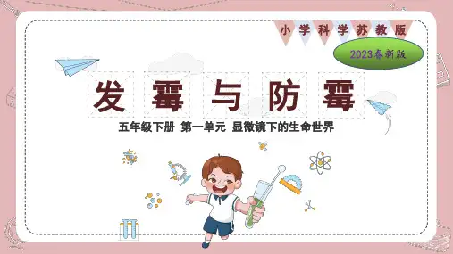 苏教版小学科学2023年版五年级下册第一单元显微镜下的生命世界第3课发霉与防霉教学课件