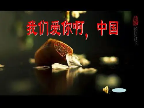 《我们爱你啊,中国》PPT课件