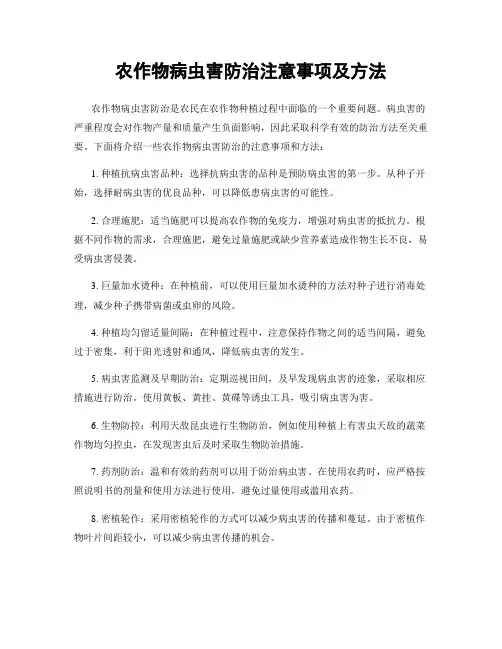 农作物病虫害防治注意事项及方法