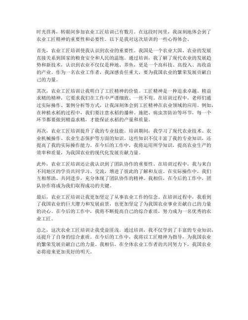 农业工匠培训心得体会范文