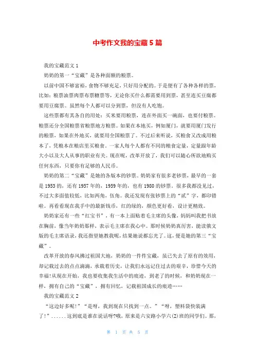 中考作文我的宝藏5篇