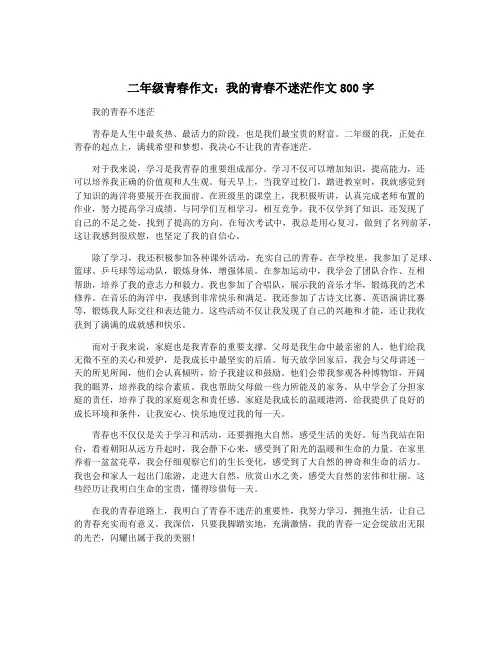 二年级青春作文：我的青春不迷茫作文800字