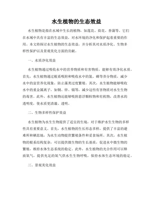 水生植物的生态效益