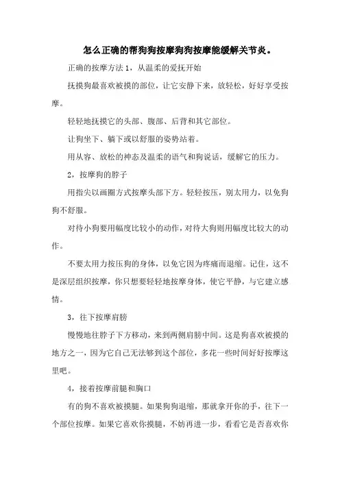 怎么正确的帮狗狗按摩狗狗按摩能缓解关节炎