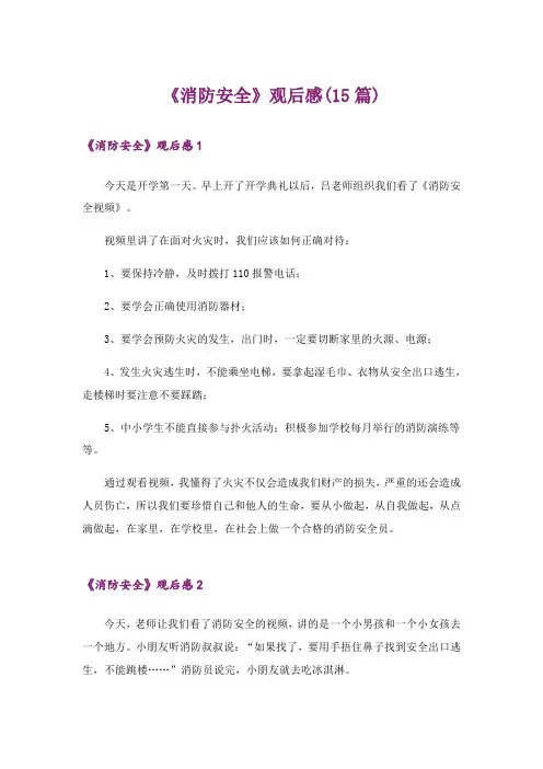 《消防安全》观后感(15篇)