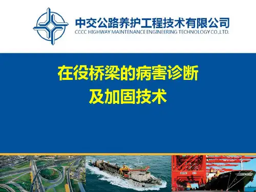 在役桥梁的病害诊断及加固技术参考课件