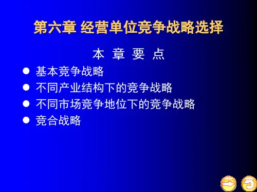 经营单位竞争战略选择(ppt 32页)