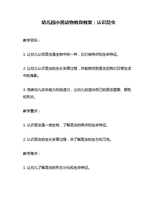 幼儿园小班动物教育教案：认识昆虫