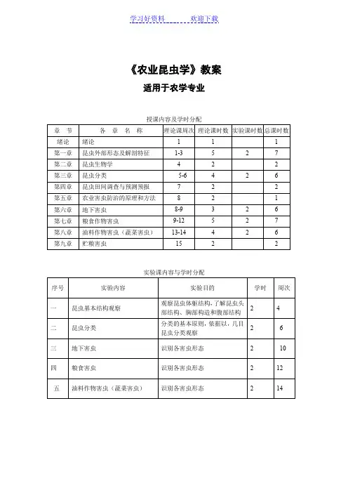 农学课件 《农业昆虫学》教案