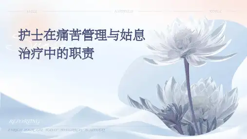 护士在痛苦管理与姑息治疗中的职责