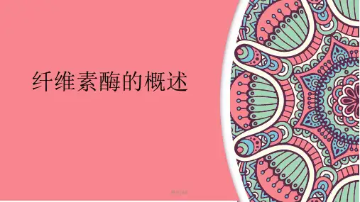 纤维素酶概述