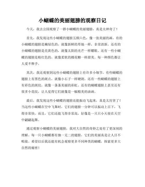小学三年级作文小蝴蝶的美丽翅膀的观察日记