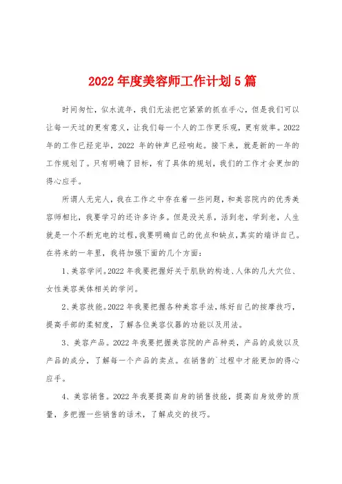 2022年度美容师工作计划5篇