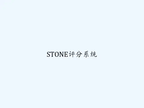 STONE评分系统 PPT