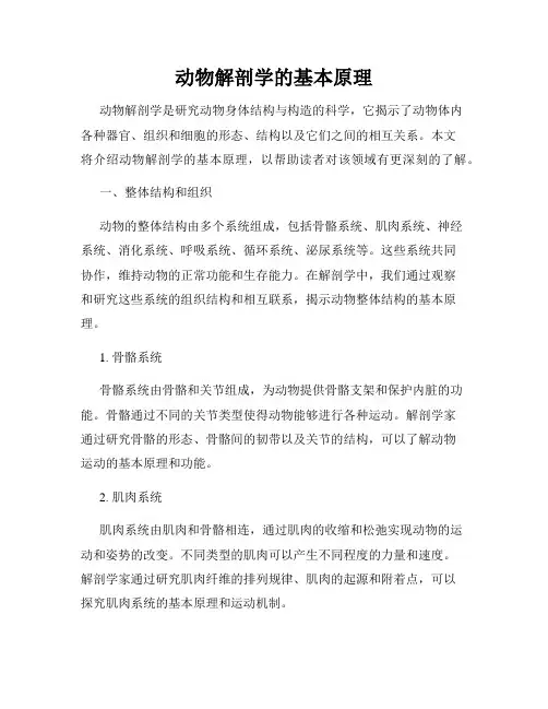 动物解剖学的基本原理