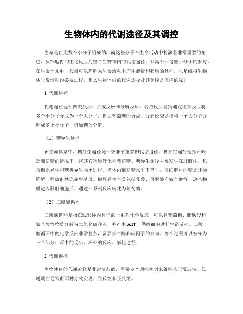 生物体内的代谢途径及其调控