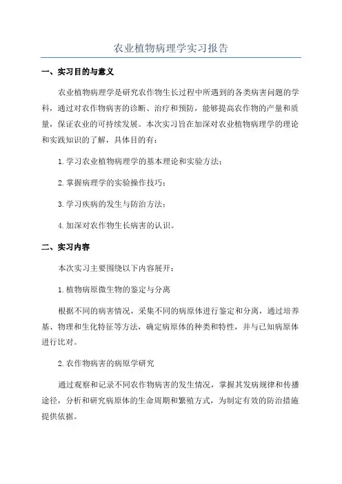 农业植物病理学实习报告