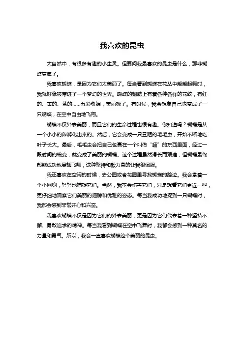 我喜欢的昆虫