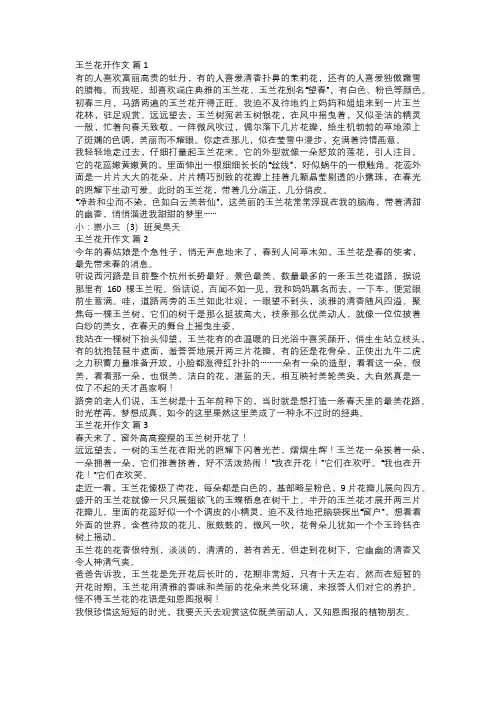 玉兰花开作文
