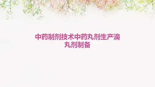 18页中药制剂技术：中药丸剂生产滴丸剂制备