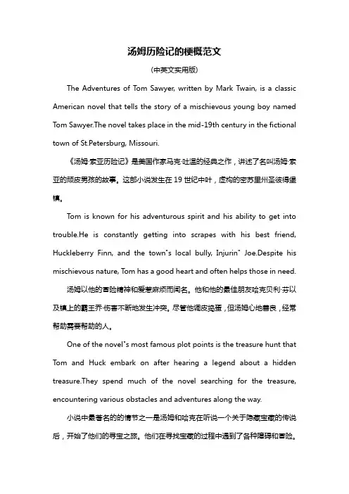 汤姆历险记的梗概范文