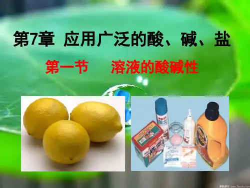 沪教初中化学九下《7第1节 溶液的酸碱性》PPT课件 (4)