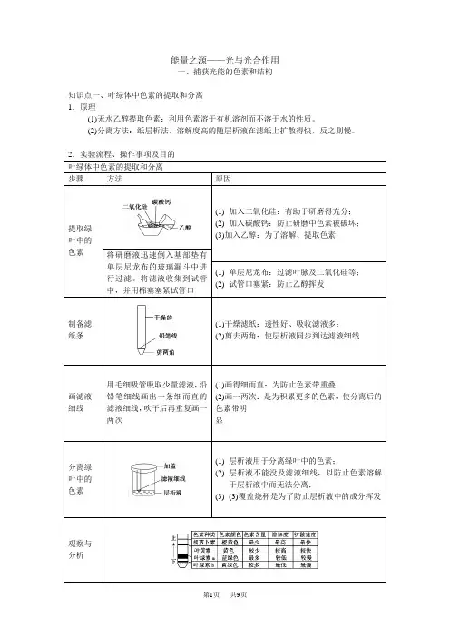 七年级(初一)生物 生物 -- 光合作用知识点总结