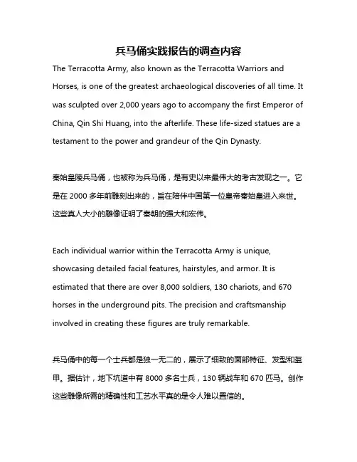 兵马俑实践报告的调查内容