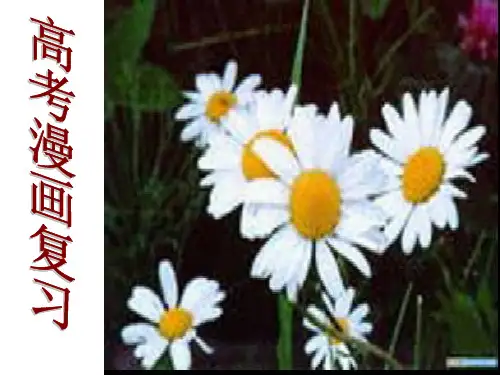 高考漫画复习ppt[优秀课件资料]