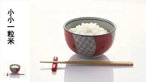 鲁美版小学品德与社会四年级《小小一粒米》课件1
