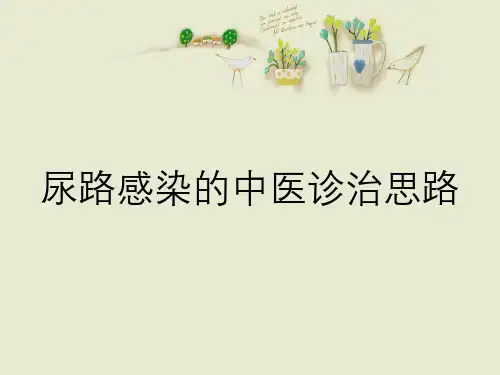尿路感染的中医诊治思路