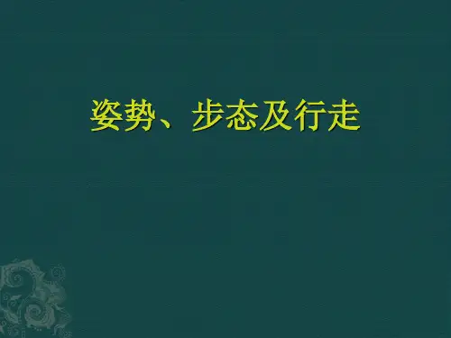 姿势、步态及行走PPT课件