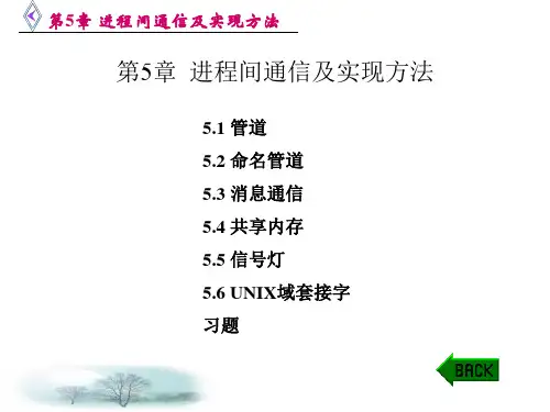 网络应用程序的设计第5章 进程间通信及实现方法.ppt