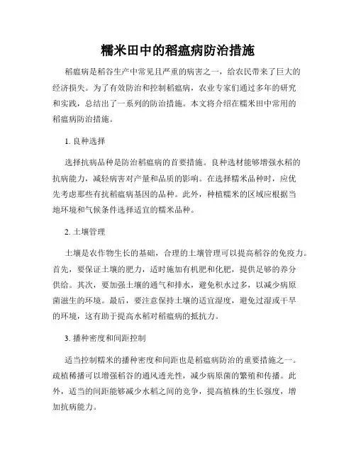 糯米田中的稻瘟病防治措施