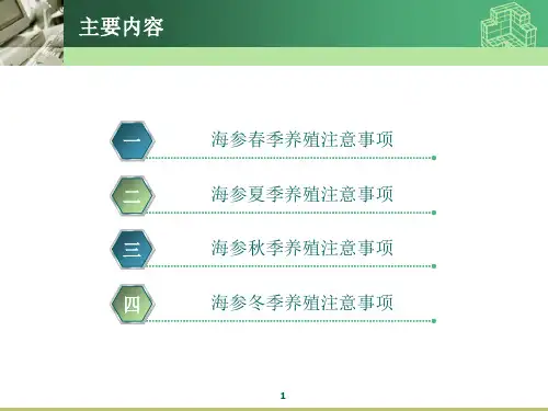海参池塘养殖培训