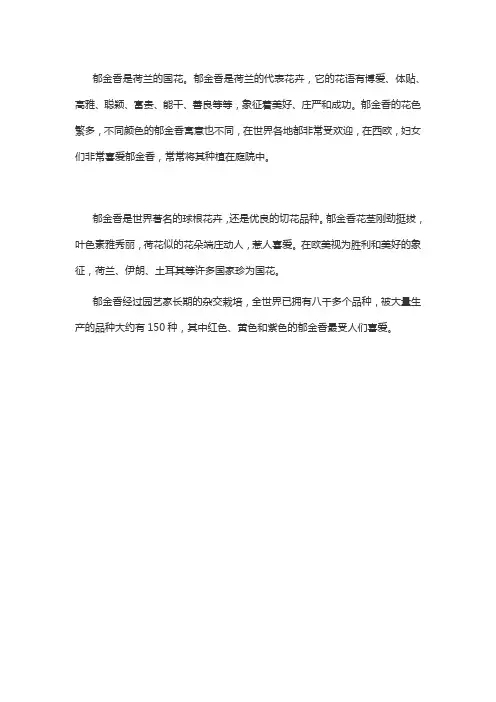 荷兰郁金香是什么意思