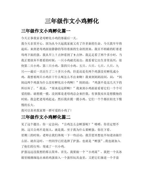 三年级作文小鸡孵化