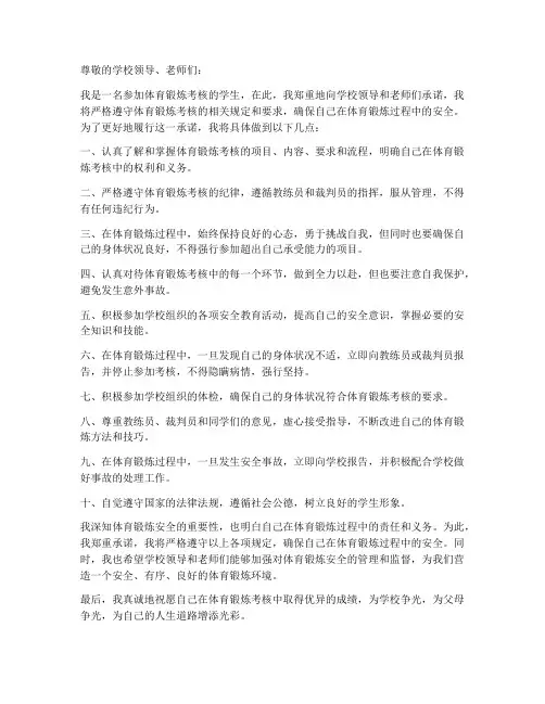 体考安全责任承诺书