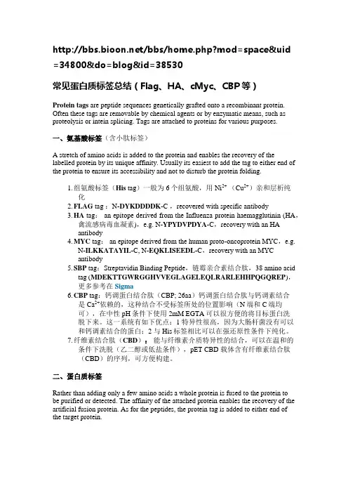 常见蛋白质标签总结