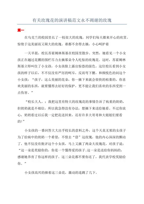 有关玫瑰花的演讲稿范文永不凋谢的玫瑰