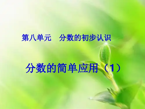 人教版《分数的简单应用》ppt3(共13张PPT)