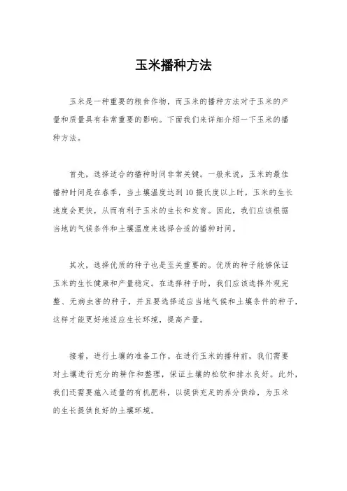 玉米播种方法