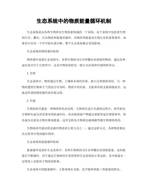 生态系统中的物质能量循环机制